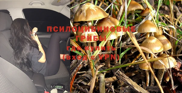 дживик Абдулино